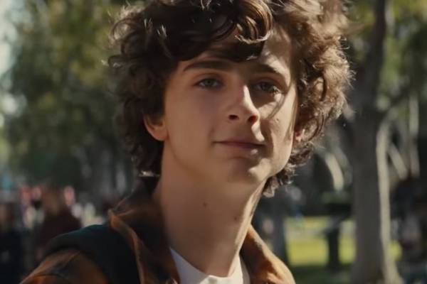 Beautiful Boy: Steve Carell and Timothée Chalamet are tremendous