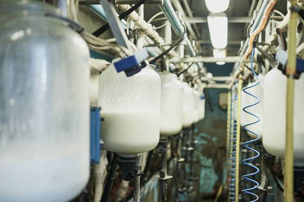 Dairy employee awarded €35,000 for unfair dismissal