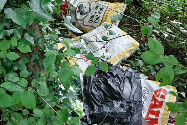 Runners collect 174 bags of roadside rubbish in pandemic clean-up