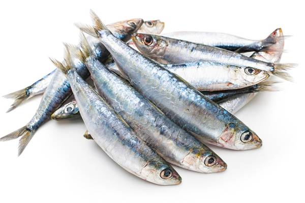 Why everyone needs sardines in their larder