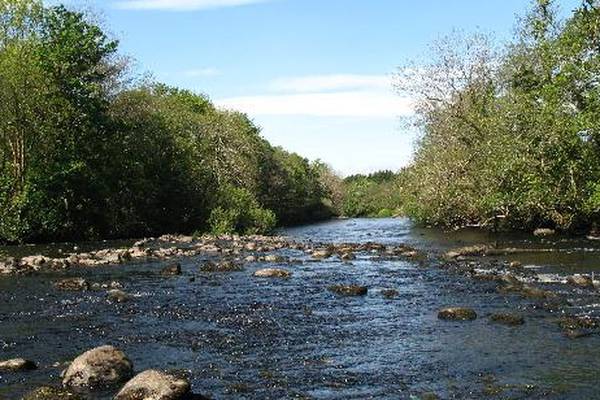 ‘Pristine’ waterways: Ireland’s best rivers