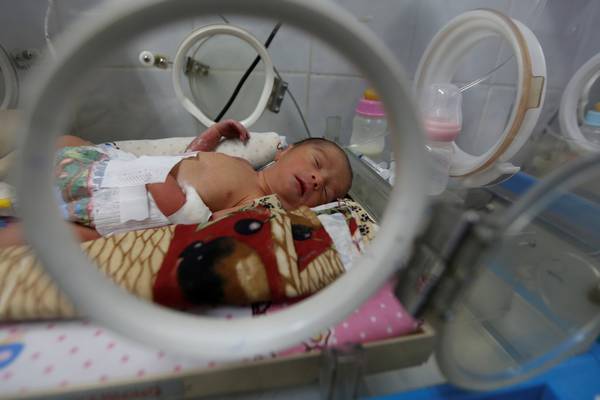 Survival rate of premature babies set to rise