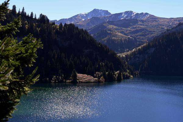 British man ‘shot dead by hunter’ while cycling in Alps