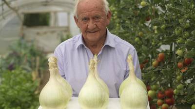Root causes of success with prize-winning vegetables