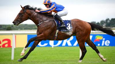 Churchill is Europe’s champion two-year-old for 2016