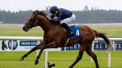Aidan O’Brien keeps the faith in City Of Troy as he bids for 10th Derby success 