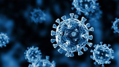 Coronavirus: 319 further cases reported in the State