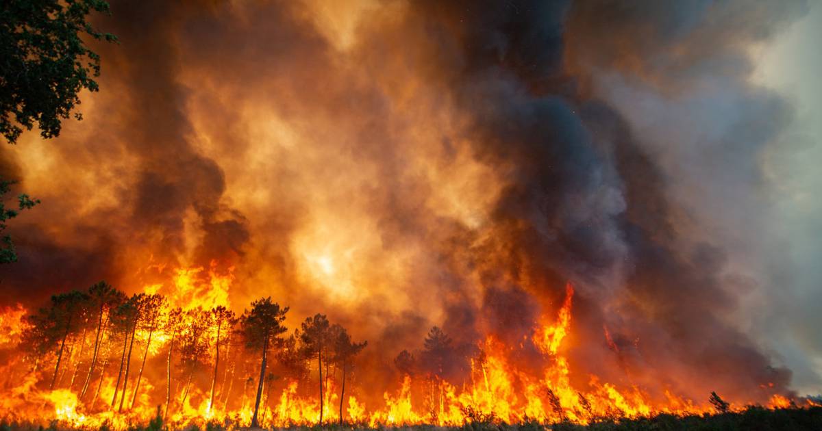 La France se prépare à des températures record alors que les incendies de forêt font rage à travers l’Europe – News 24