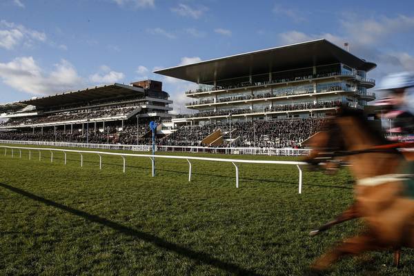 Cheltenham race abandoned after horse dies in sweltering heat