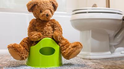 The seventh wonder of the parenting world – toilet training