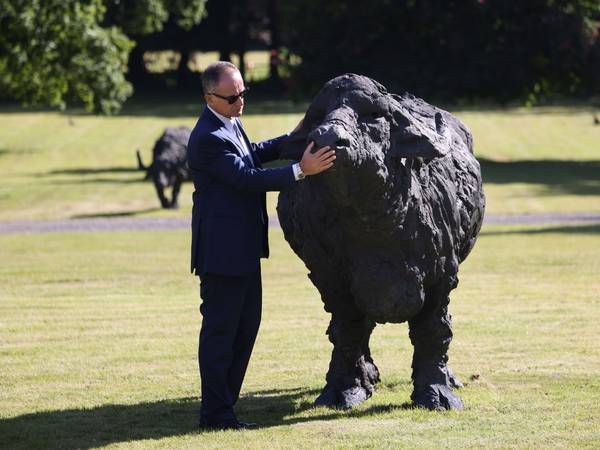 Exhibition of large-scale bronze buffalos comes to Lucan
