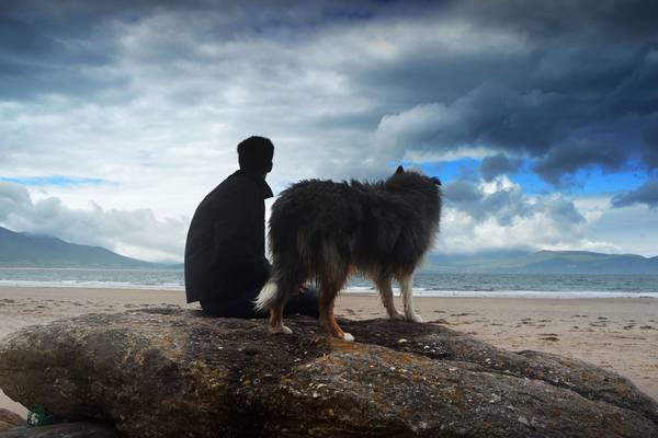 Dog faeces the most ‘potent’ polluter of Dublin’s coastal bathing water