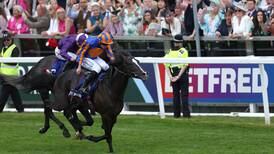 Prospect of victory for odds-on Auguste Rodin is boost for Irish Derby’s prestige