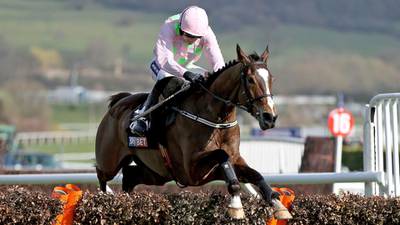 Ruby Walsh spoilt for choice on St Stephen’s Day