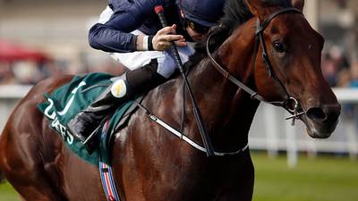 Favourite Air Force Blue one of 17 entries for 2000 Guineas