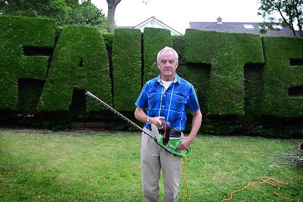 Hedge fun: the Dublin men making shapes with shrubbery