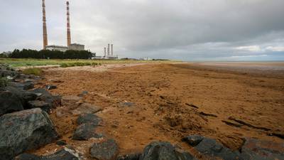 Beach near Dublin’s wastewater plant blanketed in noxious material