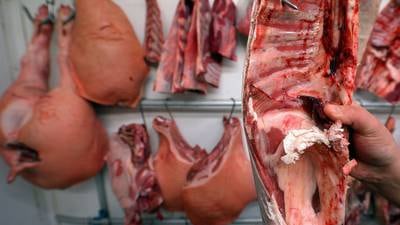 Inquiry as Irish firm may have received beef products containing horsemeat
