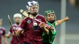 Dicksboro claim first senior camogie title with victory over Sarsfields