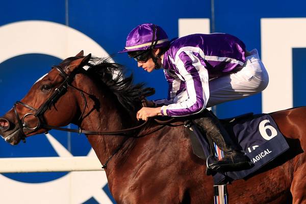 Magical will miss the Breeders Cup and has been retired