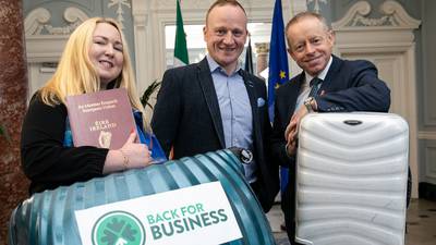 Back for Business programme aims to help returning emigrants