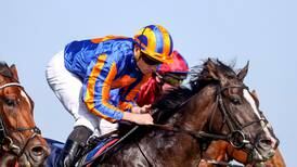 Auguste Rodin tops Irish team gearing up for Breeders’ Cup in California