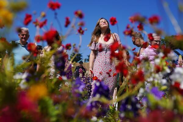 ‘My carrots aren’t going to be happy when I get back’: Bloom gardeners fear effects of dry spell 