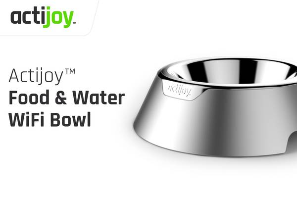 A wifi bowl and an activity tracker for your dog