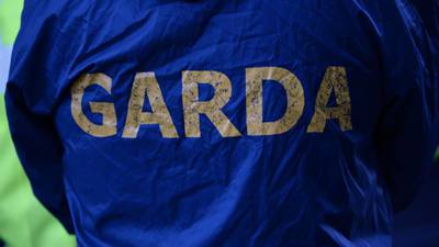 Gardaí break up scuffles at meeting on immigration