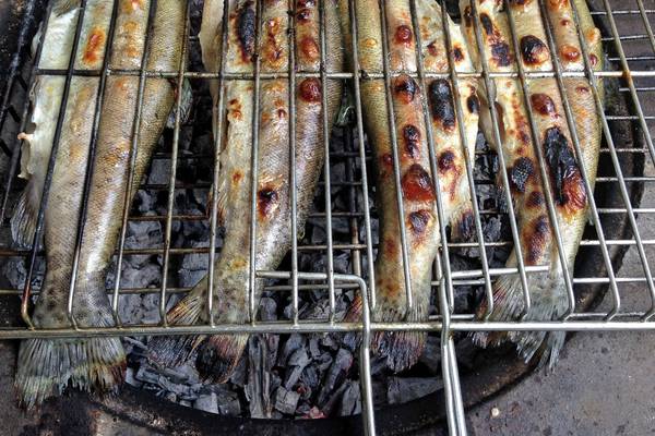 Don’t forget about fish and vegetables when it comes to barbecuing