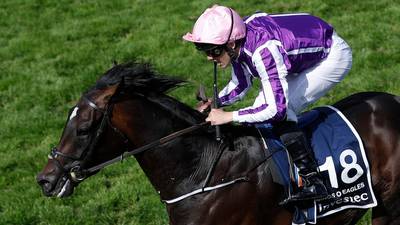 Public deemed surplus to requirements at this Irish Derby