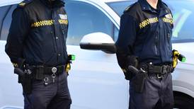 Man  in custody on  two firearms offences in Cork