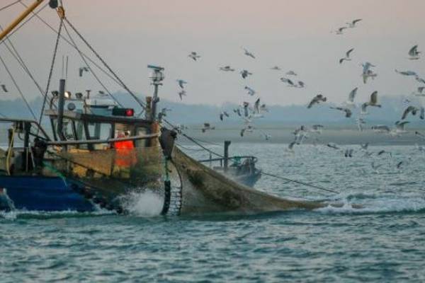 Brexit talks: why a fishing deal is proving difficult and why it matters to Ireland