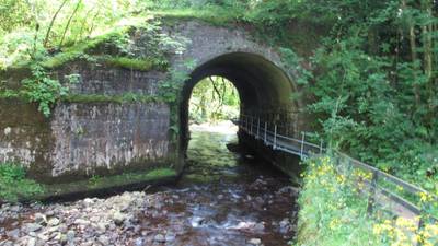 Go walk: Glenshelane Woodland, Co Waterford