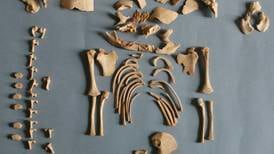 Scientists diagnose Down syndrome from DNA in ancient bones of infants