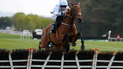 Constitution Hill given record rating for a novice hurdler