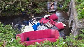‘Sickening’ dumping of household items in Co Meath river near family of otters