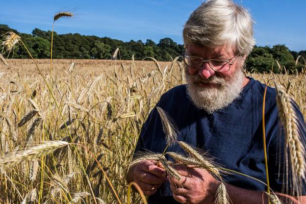Our daily bread: Ireland’s grain growers and millers