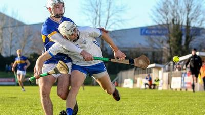 Weather plays havoc as Waterford see off Tipperary in Dungarvan