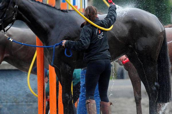 Outbreak of equine flu leaves British racing in turmoil