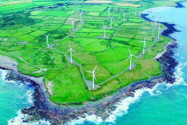 Total Produce goes renewable for Irish electricity needs