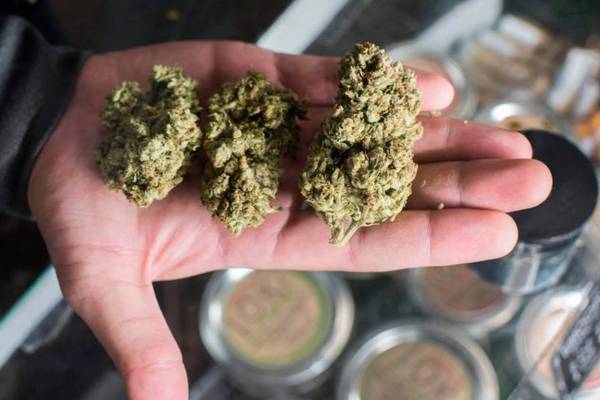 California launches legal sale of cannabis for recreational use