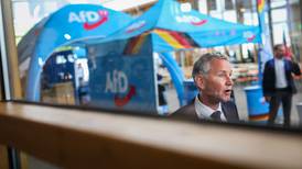 AfD backs far-right candidates in challenge to leadership