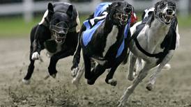 Third sponsor pulls support for Irish Greyhound Board