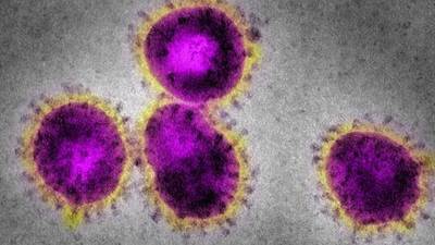 Workers absent due to coronavirus may not have legal right to pay