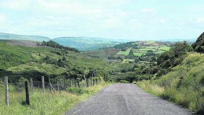 Rural Ireland has ‘bright future’ under development plan – Tánaiste