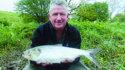 Angling Notes: Records set for twaite shad and smooth hound in 2015