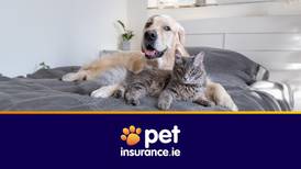 Win a €200 One4all gift voucher, with Petinsurance.ie