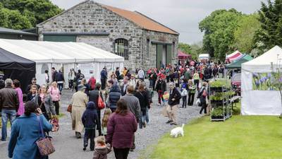 Food film festival in Co Meath