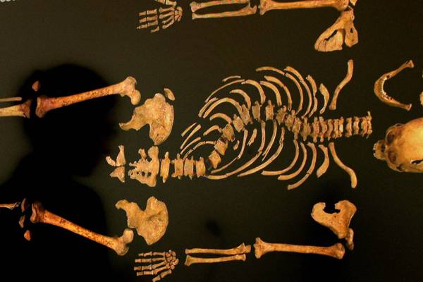 Richard III: ‘virtual’ skeleton of monarch to be shown in Galway
